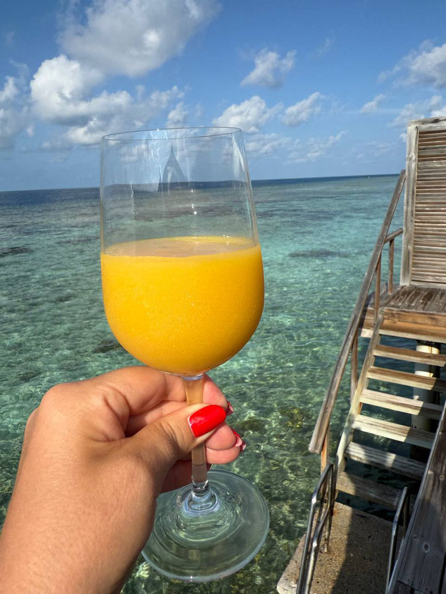 Live a dream island 🏝️ life: Kuramathi Island Resort Maldives