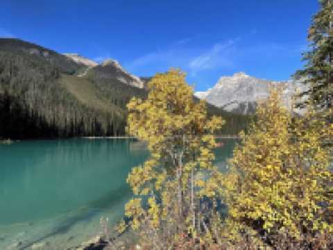 🍁 Yoho National Park – Autumn Forest Trails 🌲🍂