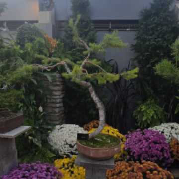 Muttart Conservatory