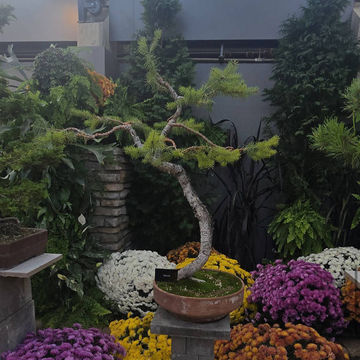 Muttart Conservatory Muttart Conservatory