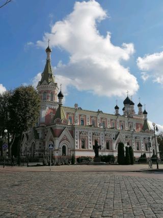 カエルの雰囲気🐸