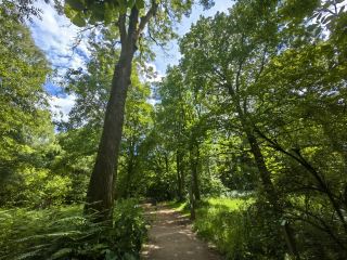 Queenswood Country Park, Hereford 근처의 자연 속 힐링 장소