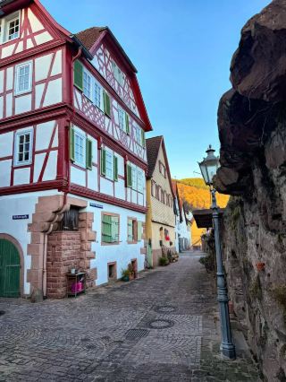 🇩🇪A trip to Hirschhorn is a peaceful escape with beautiful riverside views.