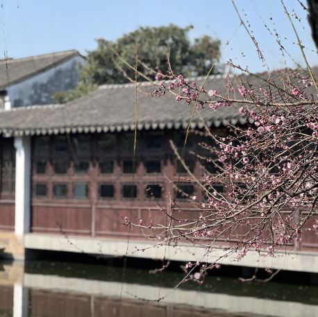 中国・蘇州】艺圃は四季折々の花が楽しめる世界遺産の庭園 | Trip.com 蘇州