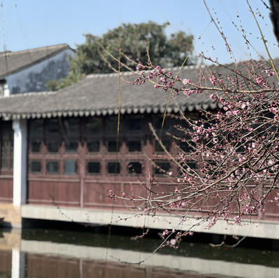 中国・蘇州】艺圃は四季折々の花が楽しめる世界遺産の庭園 | Trip.com 蘇州