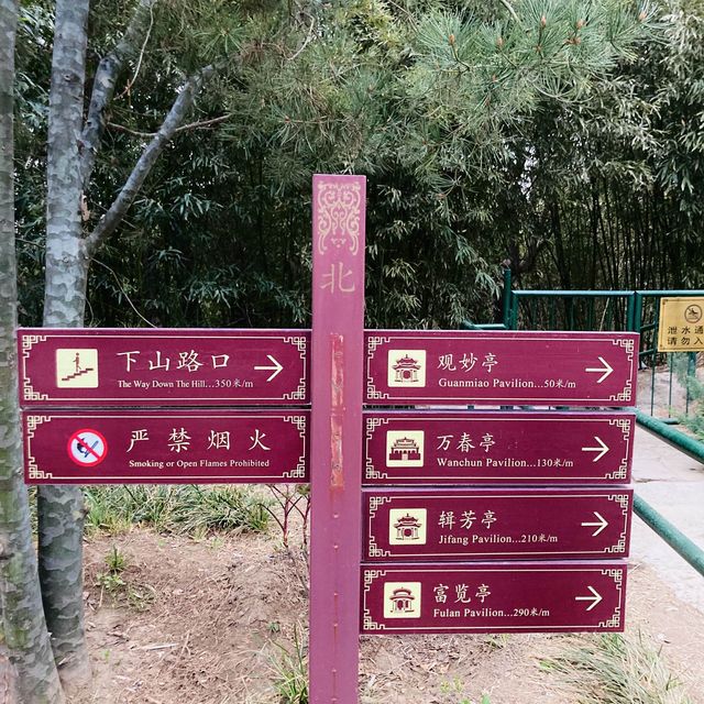 JINGSHAN PARK in the center of BEIJING 