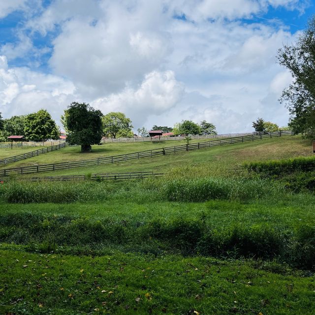 Maymont Park, Gem of Richmond