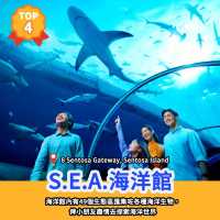 景點排行榜🏆新加坡11大親子景點