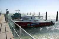 Release your laziness at a good place | Shark Bay
