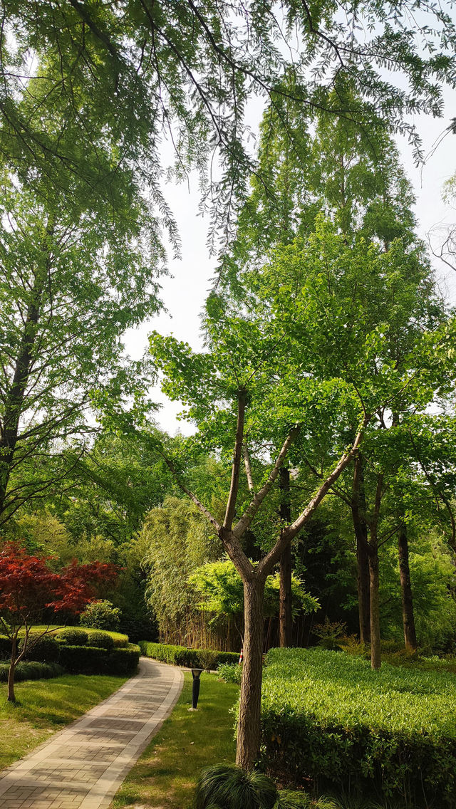 Pudong Jinqiao Park, the backyard of nearby residents, 30.