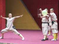 Shaolin Temple-Bucket List ✅