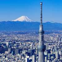 東京深度遊，發現五個超人氣打卡點！🌟