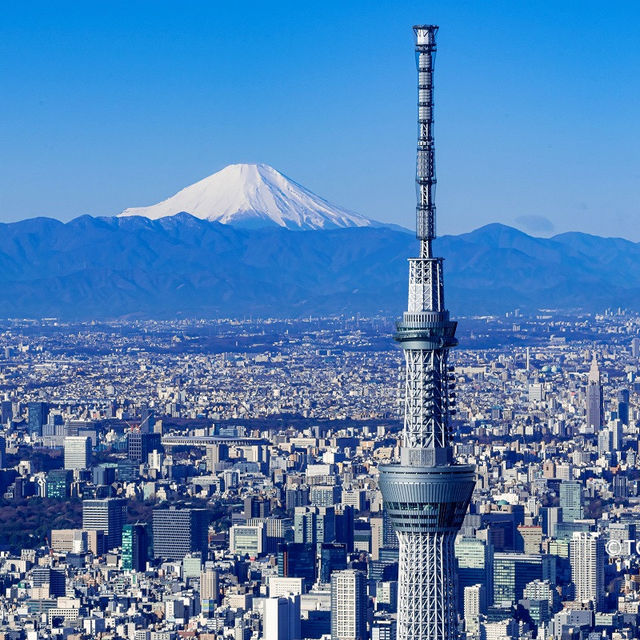 東京深度遊，發現五個超人氣打卡點！🌟