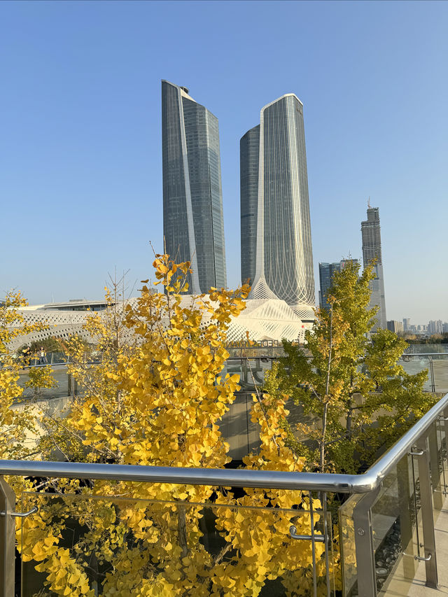 打卡南京青奥公園！散步吸氧好去處！