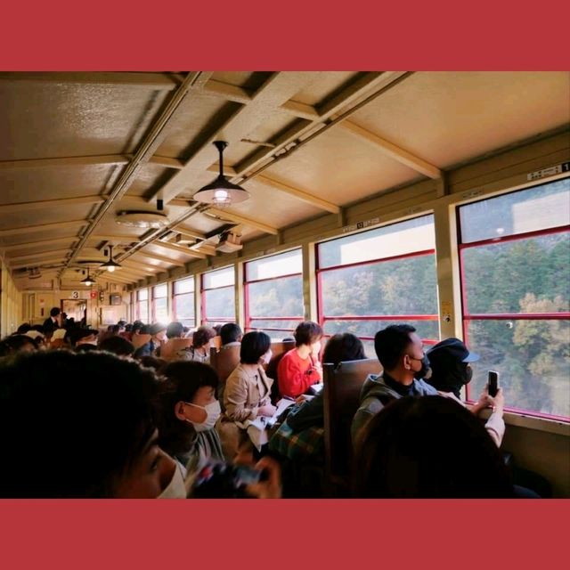 京都嵐山小火車，秋色美不勝收