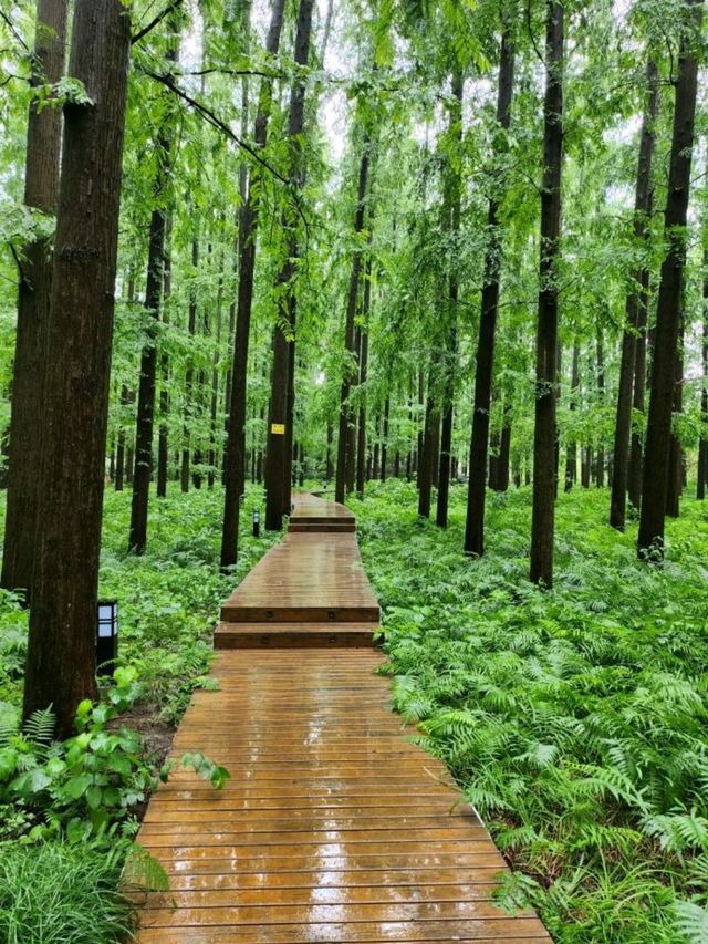 靜享自然之旅——上海怡沁園度假村住宿體驗