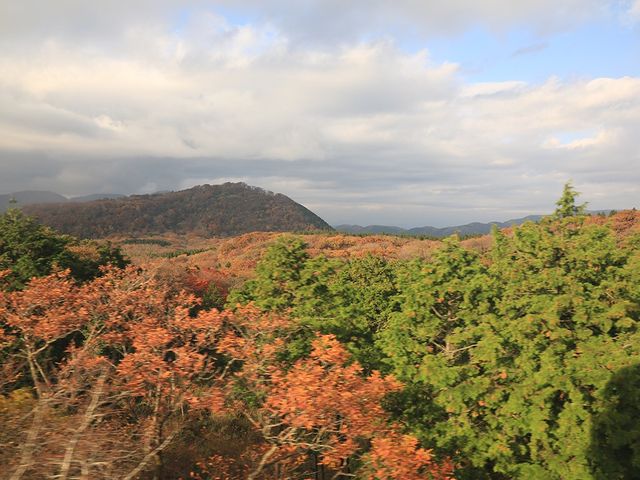 🇯🇵秋遊箱根大涌谷