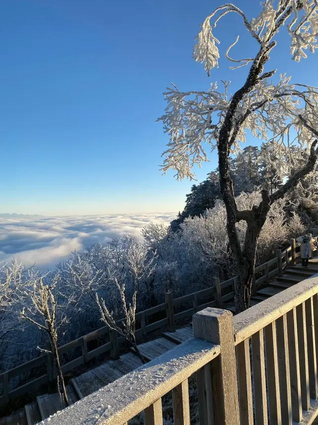 2023년 목표 - 서릉설산에서 첫 눈을 본다