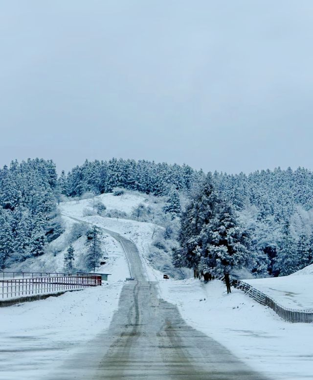 重慶周邊帶娃看雪|滑雪十親子互動營地