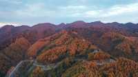 初次見旺蒼，是鹽井河峽谷的紅葉季秋日童話