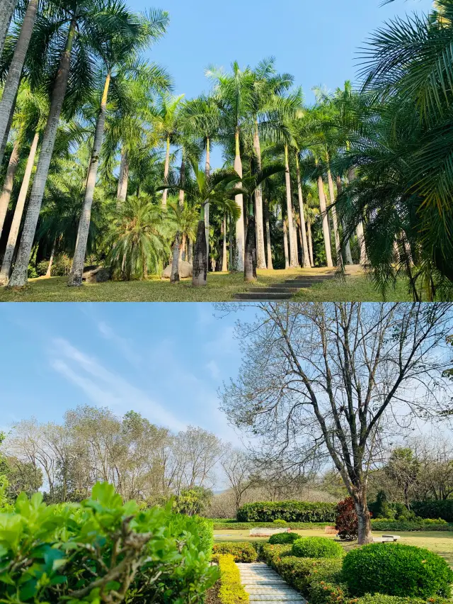 西雙版納｜去了熱帶花卉園n次，總結出3種玩法