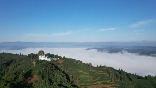 At the top of the ten thousand acres tea mountain in Ya'an, there is a homestay where you can see the sea of clouds and snow mountains