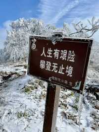 我已把這裡定義為江浙滬霧凇，冰花的天花板