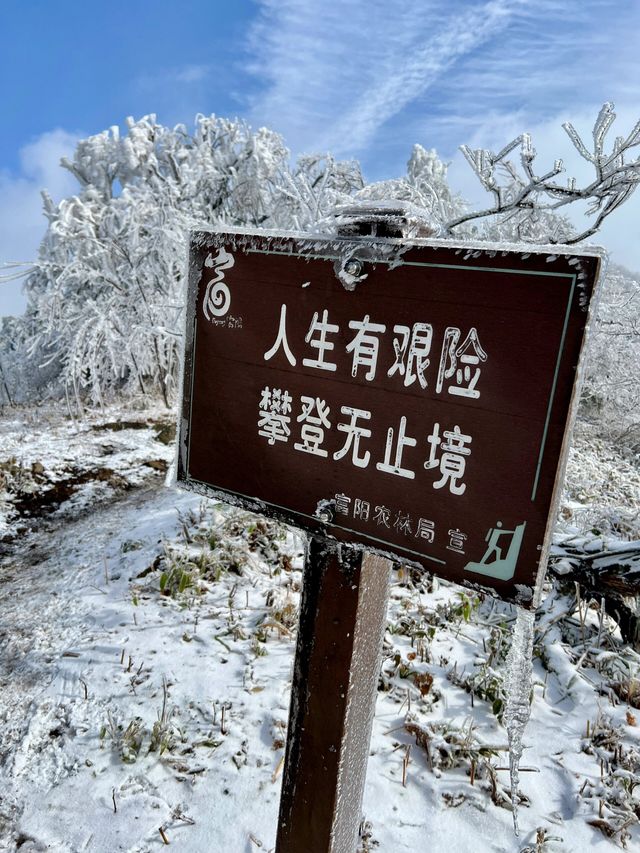 我已把這裡定義為江浙滬霧凇，冰花的天花板