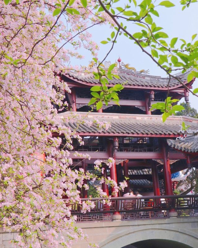 棠湖公園——一處讓人流連忘返的旅遊勝地