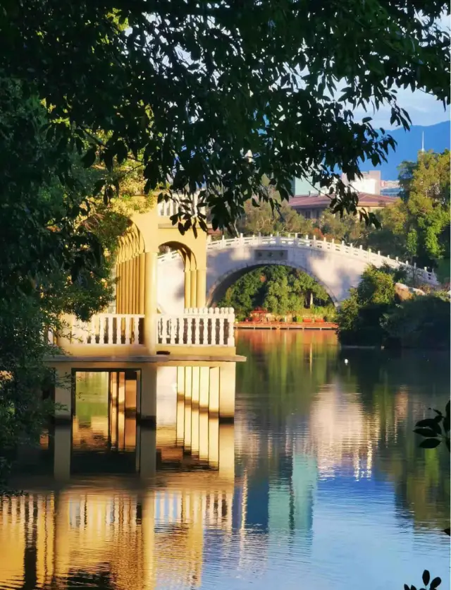 Not abroad, but in Fuzhou! Zuohai Park, a city oasis where you can swim all day!