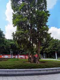 磨碟沙公園||可以欣賞廣州塔的體育公園