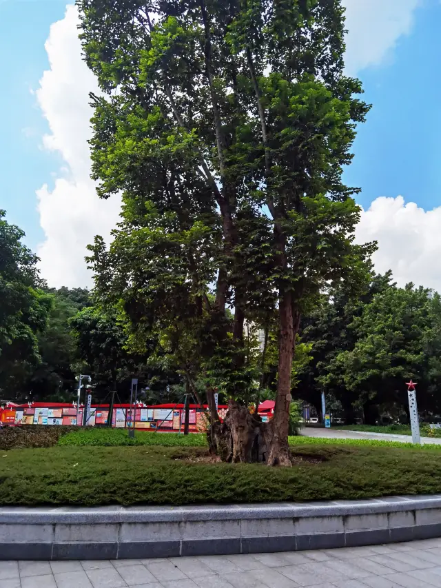 Modiesha Park|| A sports park where you can enjoy the Canton Tower