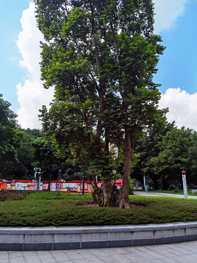 磨碟沙公園||可以欣賞廣州塔的體育公園