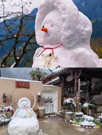 柴門聞犬吠，風雪夜歸人-衢州雪景民宿雨印茶坪
