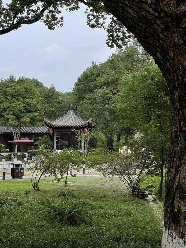 武漢打卡|東湖梨園   假期遊東湖梨園風景區奉打卡超美湖邊森林  大片森林與草坪，環境優美，真的很適