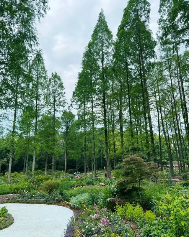 これは武漢植物園だと誰も信じないと私が言わなければなりません