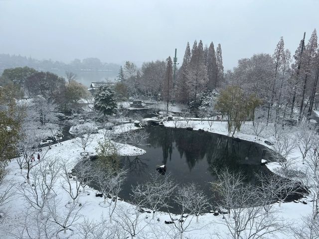 我說！玄武湖雪景簡直不要太美啊