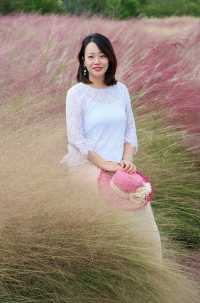 粉色深圳 | 7000m粉黛花海，浪漫秋日童話