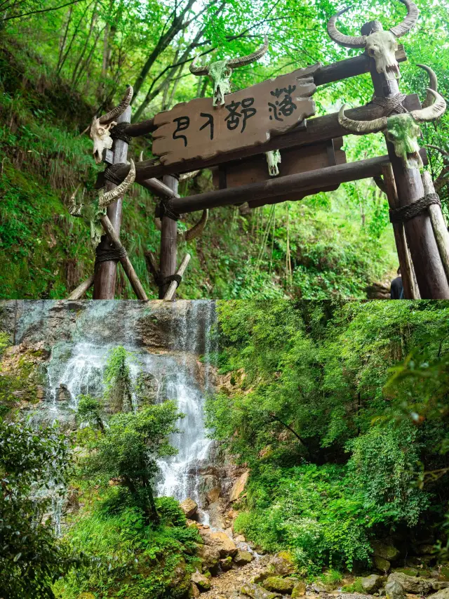Shennongjia Scenic Area Group Tour Guide