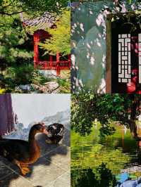 鄭州·夢溪園隱匿在鬧市裡的絕美小園林