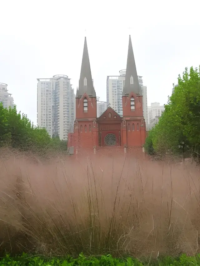 Shanghai|| Muhly grass, have a pink weekend