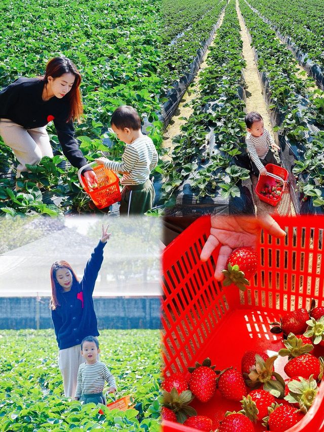 朋友以為我去了大理廣東的古村落太美了