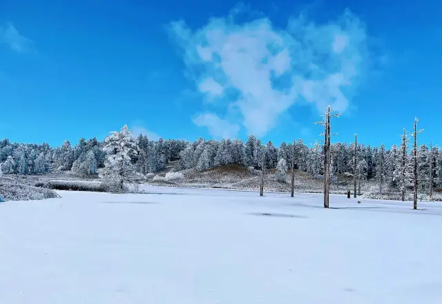 眉山で！！雲海、霧氷に出会う