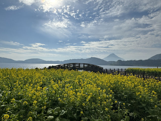 九州最大的池田湖