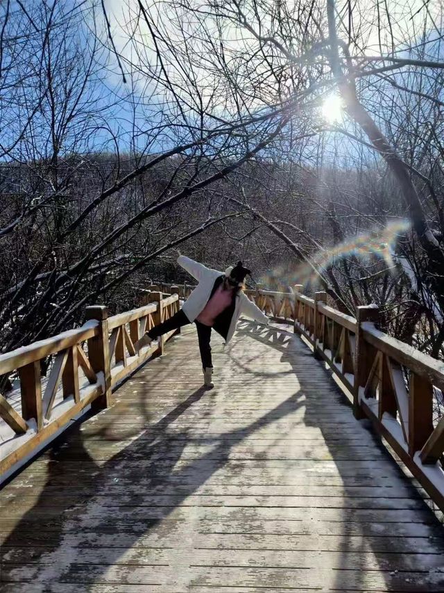 內蒙｜阿爾山國家森林公園，非去不可的阿爾山