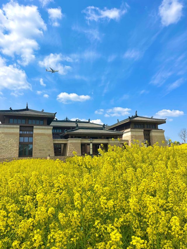 探索成都之美：成都雙流廣都博物館春日賞花之旅