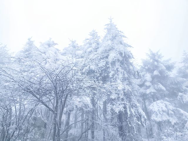 成都｜峨眉山旅途中的風景|||成都之行~~