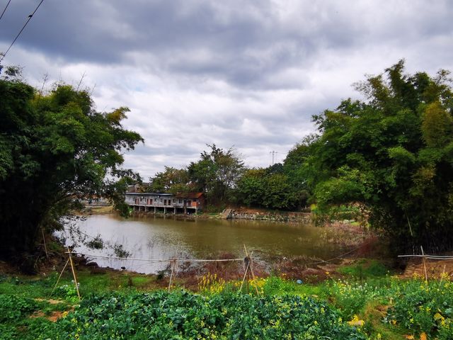 漫步雨後天晴的貢井三台村