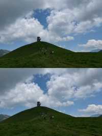 大海草山，來一個勸一個！！！