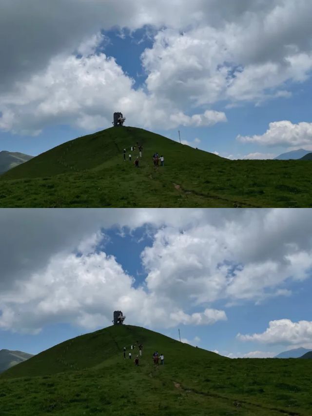 大海草山，來一個勸一個！！！